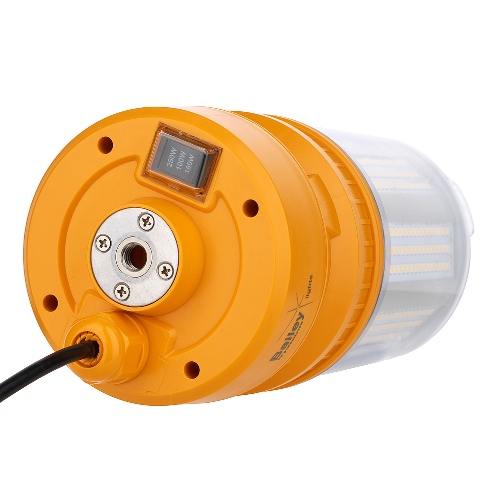 RoBust LED Corn Ballon 250W Switch IP65